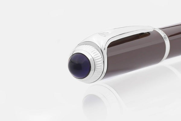 Brown and silver Pen