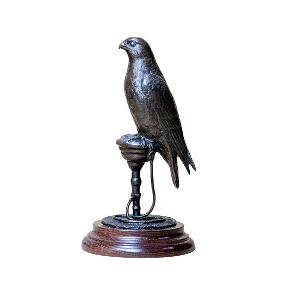 Small Falcon on Bench