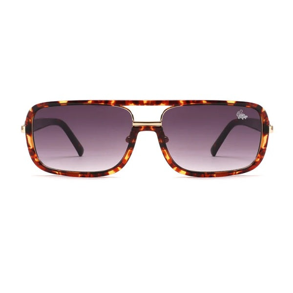 Hayward Shell Gold | Smoke
