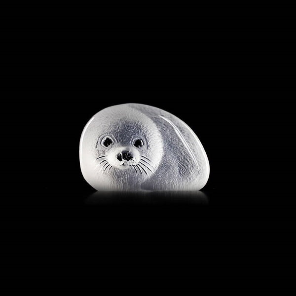 Baby Seal