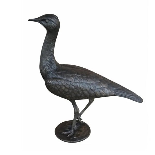 Houbara