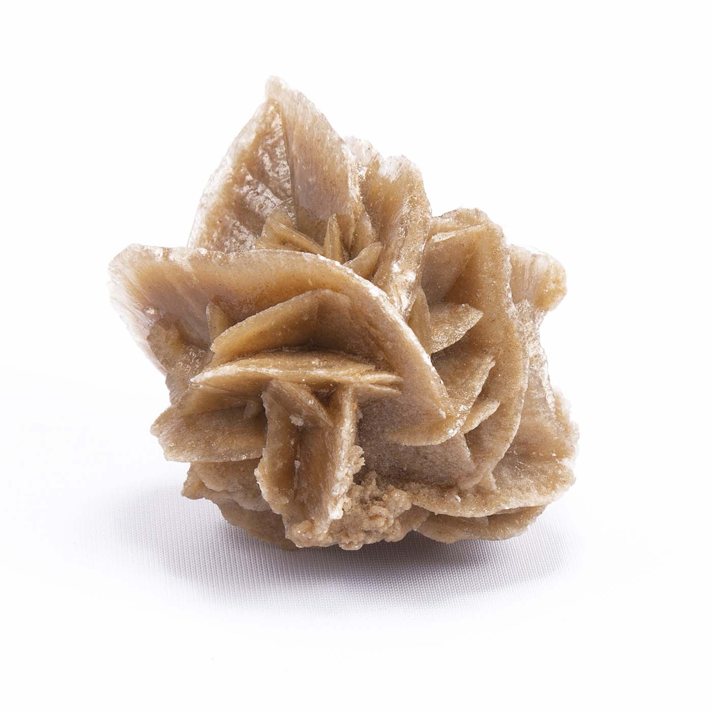 Sahara Rose Stone SRDR001