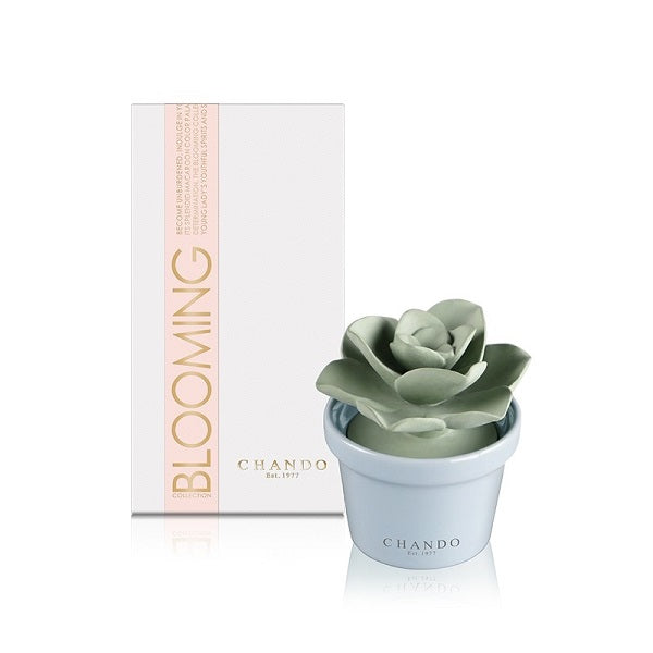 Aroma Porcelain Diffuser Mini succulent