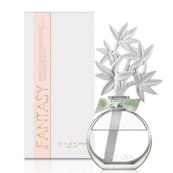 Dreamy Bamboo