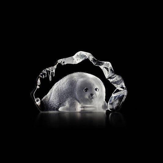Baby Seal