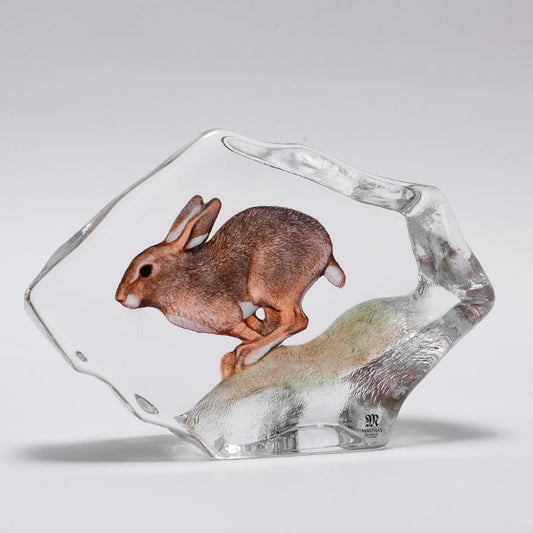 Hare Glass Decor