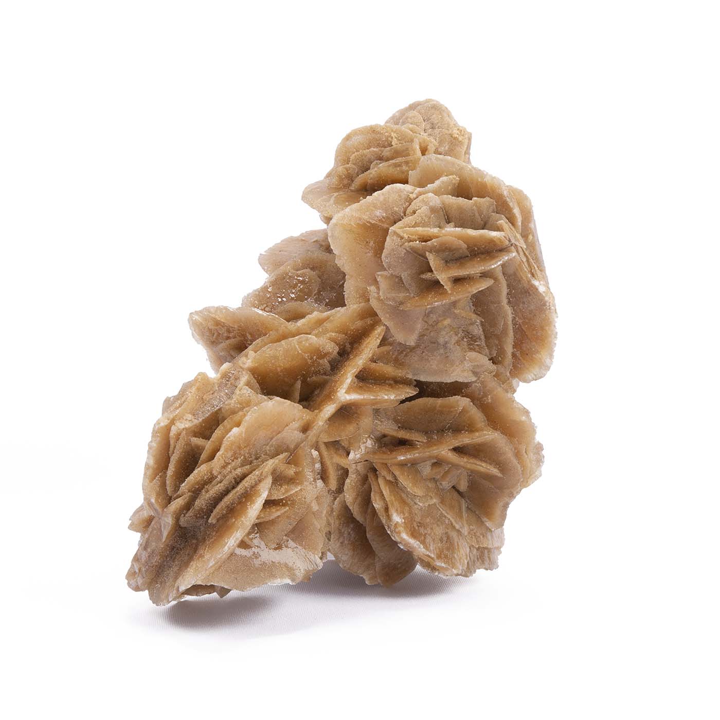 Sahara Rose Stone SRDR002