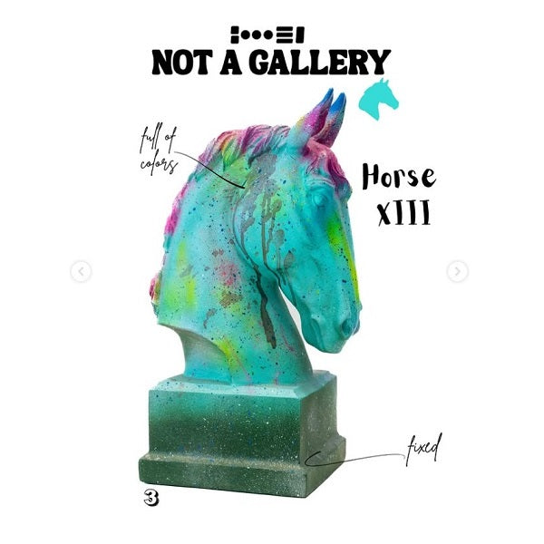 HORSE XIII