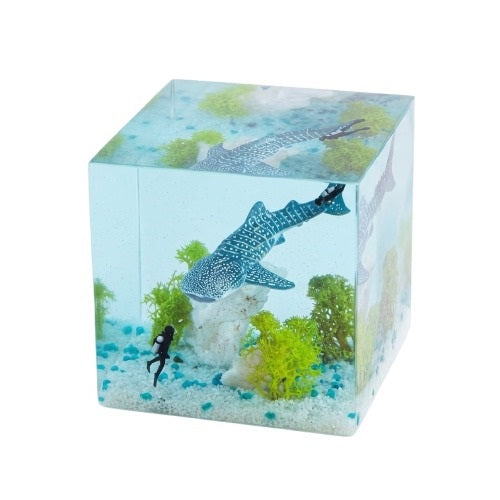 Handcrafted Whale Shark Resin Diorama Cube