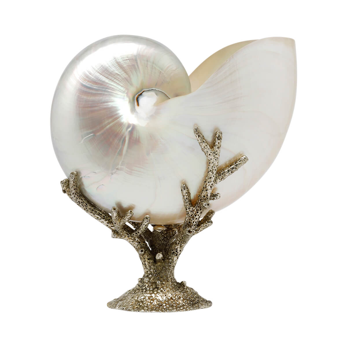 Arcadia Pearl Medium