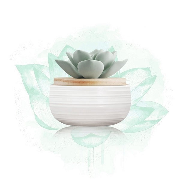 Aroma Porcelain Diffuser Green Lotus