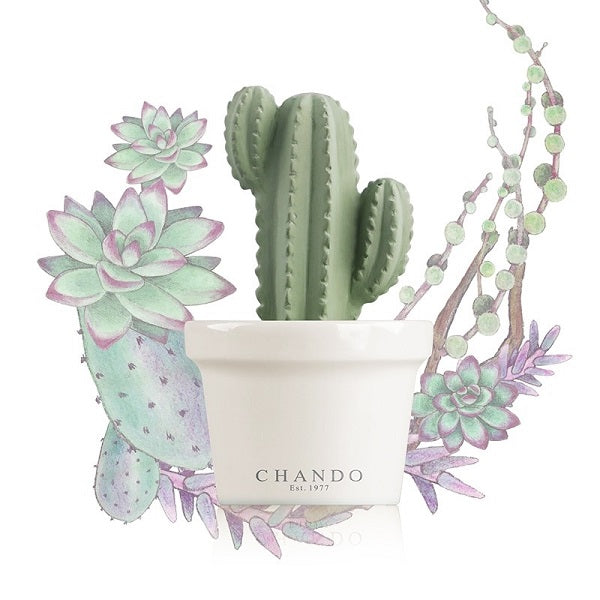 Aroma Porcelain Diffuser Mini succulent