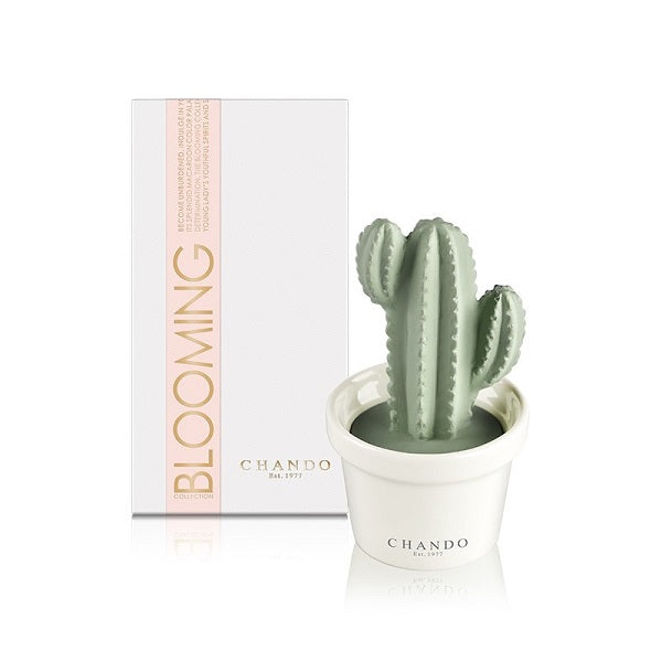 Aroma Porcelain Diffuser Mini succulent