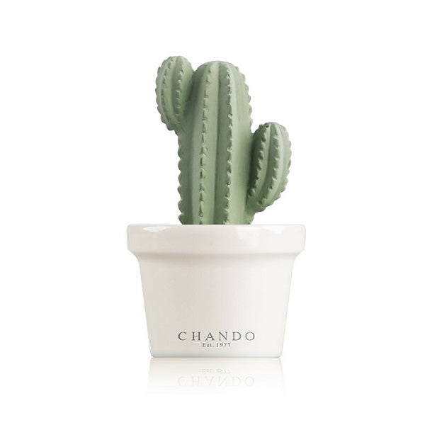 Aroma Porcelain Diffuser Mini succulent