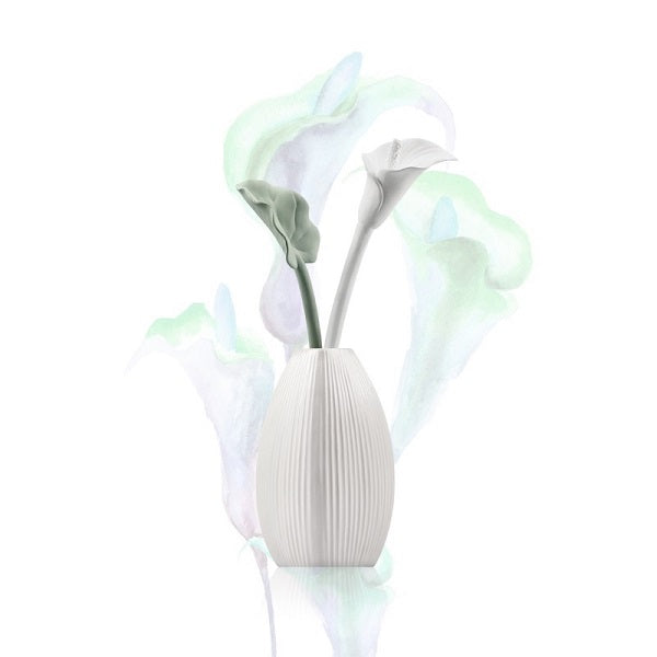 Aroma Porcelain Diffuser Sleeping Lily Purity