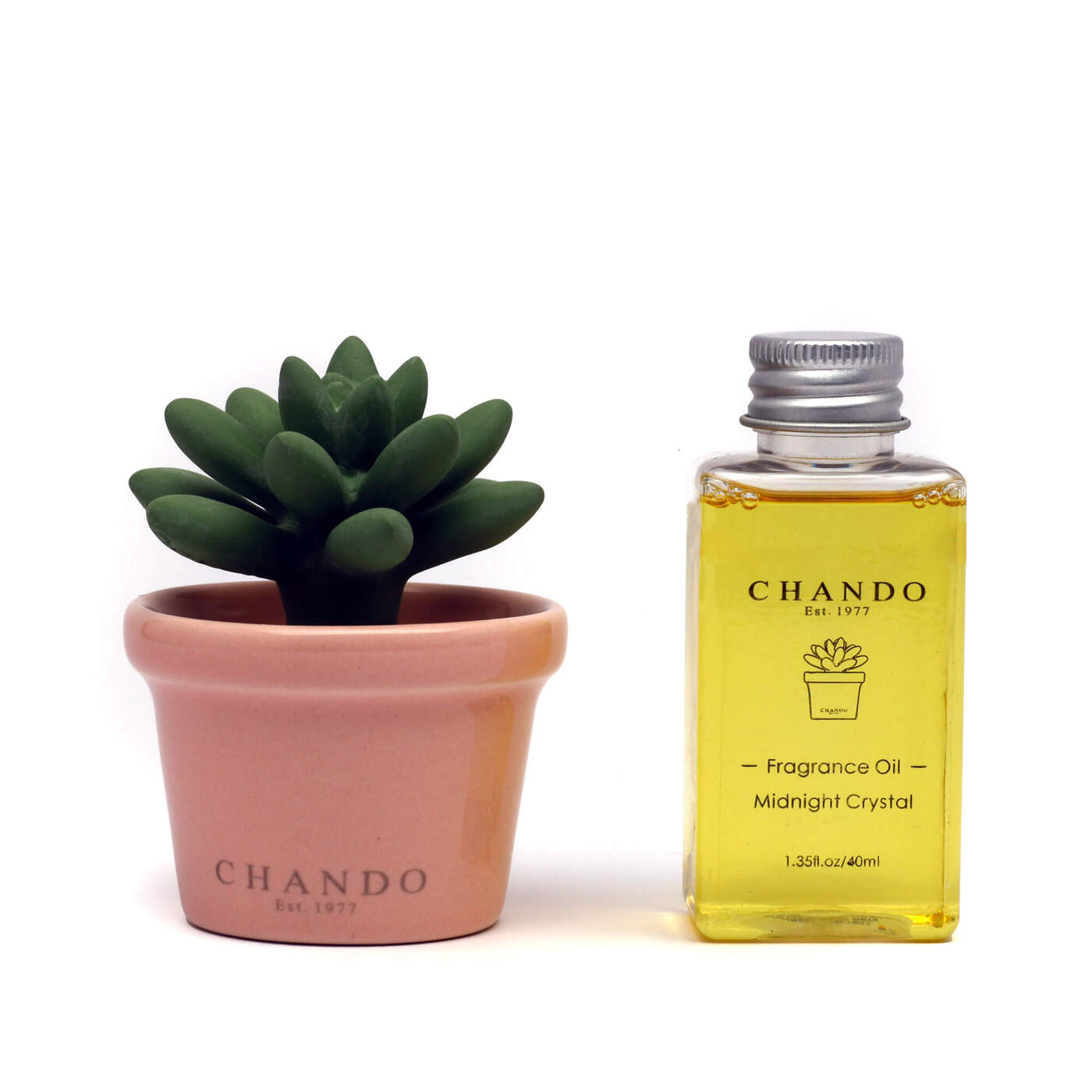 Mini Succulent Girlfriend
