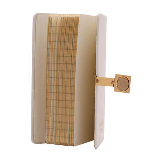 Notebook White & Gold A6