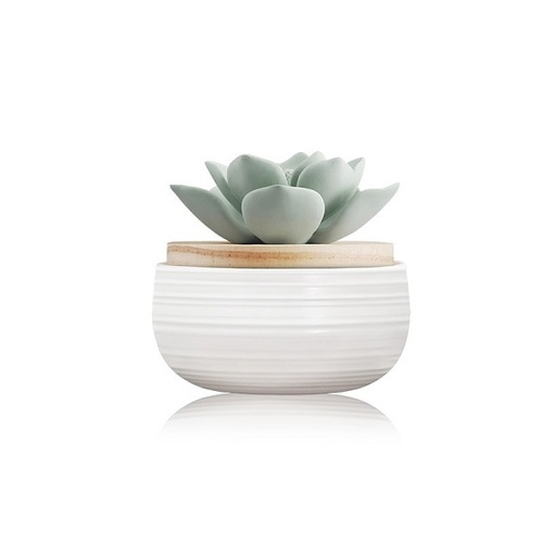 Aroma Porcelain Diffuser Green Lotus